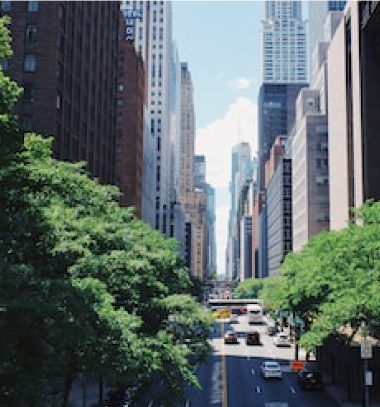 智新醫學院111學年度校務會議系所主管及教師代表選舉結果公告